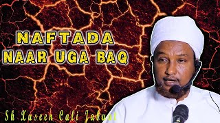 Wacdi Qalbiga Taabanaaya  Naarta iyo Xaalkeeda  Sheekh Xuseen Cali Jabuuti [upl. by Noicpecnoc]