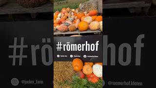 Römerhofjucker Farm kürbisausstellunghalloween [upl. by Gina999]