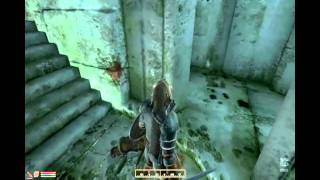 Berserker and Siren Voice Mod Oblivion [upl. by Daiz309]