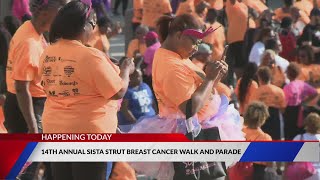 14th Annual Sista Strut Breast Cancer Walk and Parade [upl. by Batory]