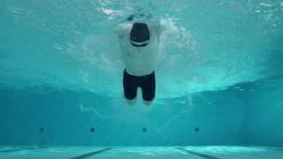 Butterfly Swimming Drills  The Ladder [upl. by Nicolina561]