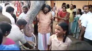 birthday celebrations for srirangam temple andal so cute🐘🐘🐘 pls share and subscribe temple [upl. by Bricker]