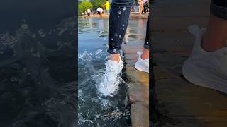 The Best Waterproof Shoes for Every Occasion 2024 [upl. by Moran122]