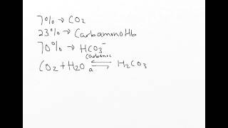 Chloride Shift explained [upl. by Garth]