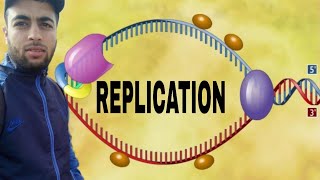 Réplication dADN  BIOLOGIE MOLECULAIREBIOLOGIE CELLULAIRE [upl. by Aratahs38]