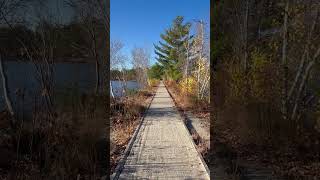 Rail Trail Through The Lake railroadhistory [upl. by Hernardo976]