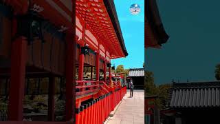 Top 3 Things To Do In Kyoto shorts kyoto travel [upl. by Melton253]