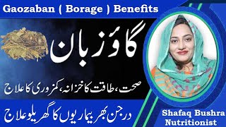 Amazing Health Benefits Of Borage Benefits In Urdu  Gao Zuban Ke Fayde [upl. by Col]