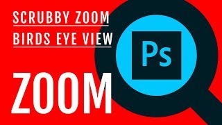 How to ZOOM in and Zoom out like a pro Scrubby Zoom and Birds eye view Photoshop In Bangla [upl. by Datnow]