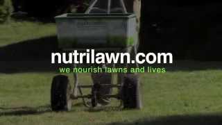 Have the lawn you deserve with the help of the pros at NutriLawn [upl. by Kimmy]