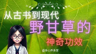 从古书到现代，野甘草 Scoparia dulcis L 的神奇功效。这种植物在民间有着相当多的俗称，又叫假甘草、甜珠草，地肤子土甘草、假枸杞、通花草、冰糖草，节节珠，四时茶等。 [upl. by Adiene]