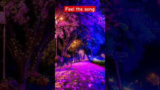 Romantic lo fi song  feel the song ❤️❤️ shorts viralshorts trending [upl. by Emilie]