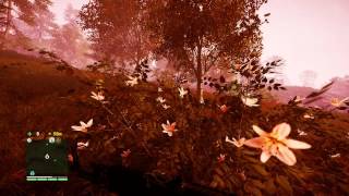 Far Cry 4 PC walkthrough  The Burning Forest [upl. by Lowson836]