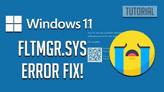 How To Fix FLTMGRSYS Blue Screan of Death Error In Windows 1110 2024 [upl. by Wildee]