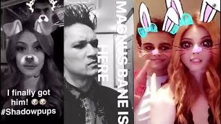 Shadowhunters Cast Funny Moments 4  quotOf course I ship Malecquot [upl. by Maurits]