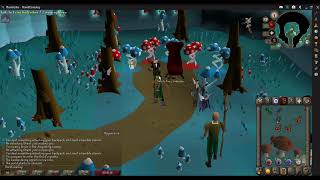 OSRS   HCIM  FairyTale Part 1  Growing Pains Quest Guide   Safe Spot [upl. by Norry]