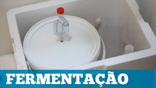 Como Fazer Cerveja em Casa Fermentação Parte 46 [upl. by Aivlis]