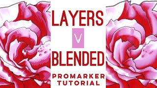 How to Layer and Blend markers  Promarker drawing and tutorial [upl. by Dragde]