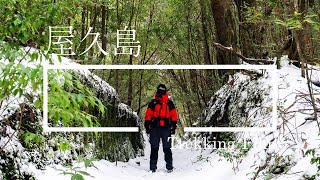 Trekking Film 겨울의 야쿠시마 트레킹 [upl. by Eigram]