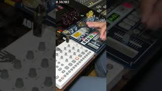 Creating with the Elektron Model Samples and Korg EMX1 shorts dawless [upl. by Junieta]