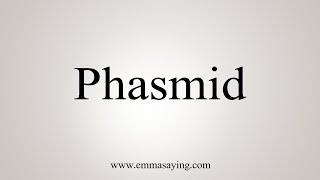 How To Say Phasmid [upl. by Artekal]