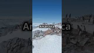 Discover the wonders of Antarctica in this captivating video  Keen Owl antarcticaday [upl. by Mcdowell568]