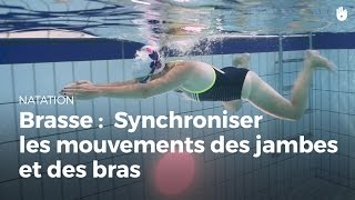 Comment synchroniser les mouvements des jambes et des bras  Brasse coulée [upl. by Panaggio]