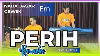 Perih karaoke  elvi sukaesih nada cewek Em versi koplo [upl. by Mclaurin260]