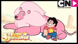 Steven Universe  Steven Finds Lion In The Desert  Stevens Lion  Cartoon Network [upl. by Donough]