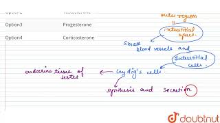 Leydig\s cells secrete  CLASS 12  HUMAN REPRODUCTION  BIOLOGY  Doubtnut [upl. by Story]