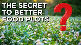 The Secret To Maximize Your Perennial Food Plots [upl. by Auburn]