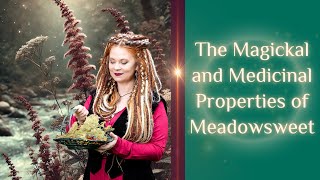 The MAGICKAL and MEDICINAL Properties of MEADOWSWEET [upl. by Elish]