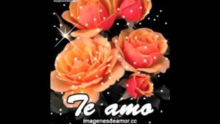 13 imágenes de rosas gif con frases para enamorados [upl. by Cesar]