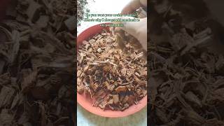 Why Cocohusk should used in Aroid Potting Mix  Aroid Potting Mix shorts youtubeshorts ytshorts [upl. by Nivanod]