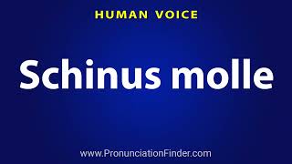 How To Pronounce Schinus molle [upl. by Tricia]