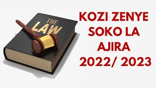 KOZI ZENYE SOKO LA AJIRA 2022 2023  MOST MARKETABLE COURSES 2022 2023 [upl. by Froh]