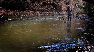 Steelhead Bobber Downs in Small Creek  Spring Run March 2022 [upl. by Ashlin]