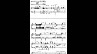 Liszt Widmung 연습 안하면 이렇게 된다 연습 많이해도 이렇게 된다 [upl. by Grati103]