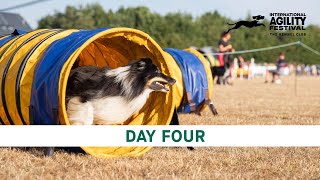 The Kennel Club International Agility Festival 2024  Day 4 Main Ring [upl. by Pate]