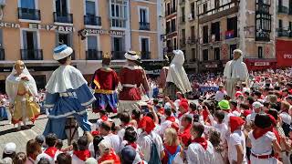 gigantes pamplona  san fermin [upl. by Ibob957]