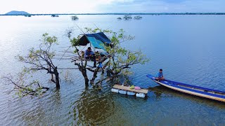 Tent On The Top Of The Tree 2 nights And 3 days  Cambodia 🇰🇭 បោះតង់លើចុងឈើ [upl. by Eleda]