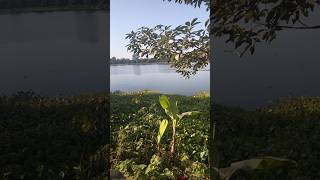 Samai ki dharame oldisgold history old shortvideos ytshorts ytshort real nature river [upl. by Islehc]