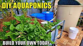 Complete DIY Aquaponics System Build  Fish Tank Filters Dual Root Zone amp Media Beds [upl. by Kantos332]