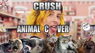 Tessa Violet  Crush Animal Cover [upl. by Melita]