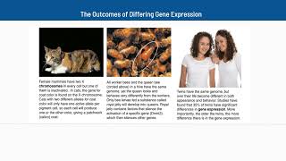 21 The Outcomes of Differing Gene Expression [upl. by Nerej]