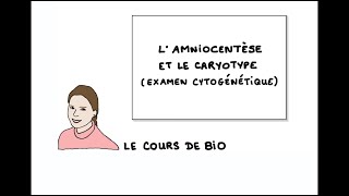 L’aminocentèse et le caryotype examen cytogénétique [upl. by Neerihs]