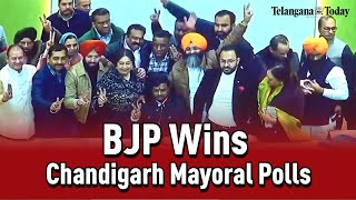 Chandigarh Mayoral Polls BJP wins against Congress and AAP  Chandigarh News Today [upl. by Einhorn435]