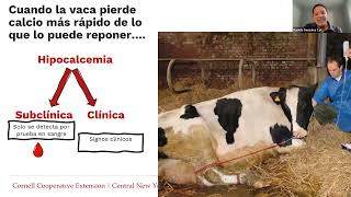 Trastornos de Salud de la Vacas FrescaHipocalcemia Fresh Cow DisordersHypocalcemia [upl. by Meredith]