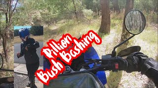 Offroad with PILLION KLR 650 outback Australia near Yarrawonga [upl. by Baniez]