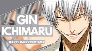 GIN ICHIMARU  Bleach Character ANALYSIS  The ColdBlooded Smile [upl. by Dagley]